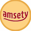 amsety.com