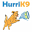 hurrik9.com