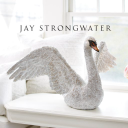 Jaystrongwater.com