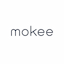 mokee.eu