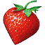 strawberrynet.com